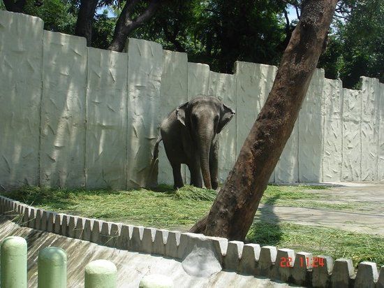 Manilas zoologiske og botaniske have